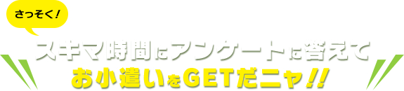 さっそく！スキマ時間にアンケートに答えてお小遣いをGETだニャ！！